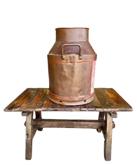 Bote lechero antiguo de Colima, decorado con óleo de ave, cerámica