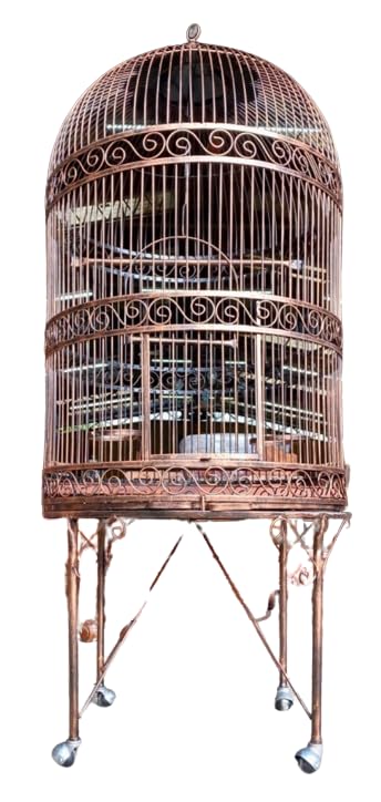 Jaula de metal colonial con base independiente, altura 1,90 m, con ruedas, blanco, negro, cobre