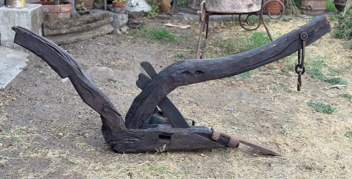 Old and original wooden plow with a share