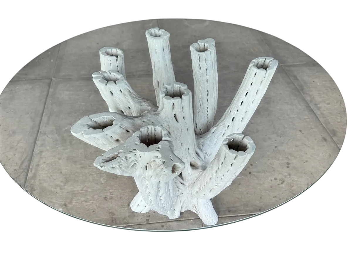 White Dining Table Base 4 to 6 Chairs Antique Cactus Wood