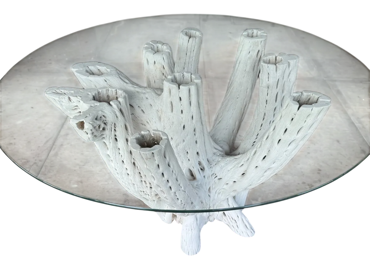 White Dining Table Base 4 to 6 Chairs Antique Cactus Wood