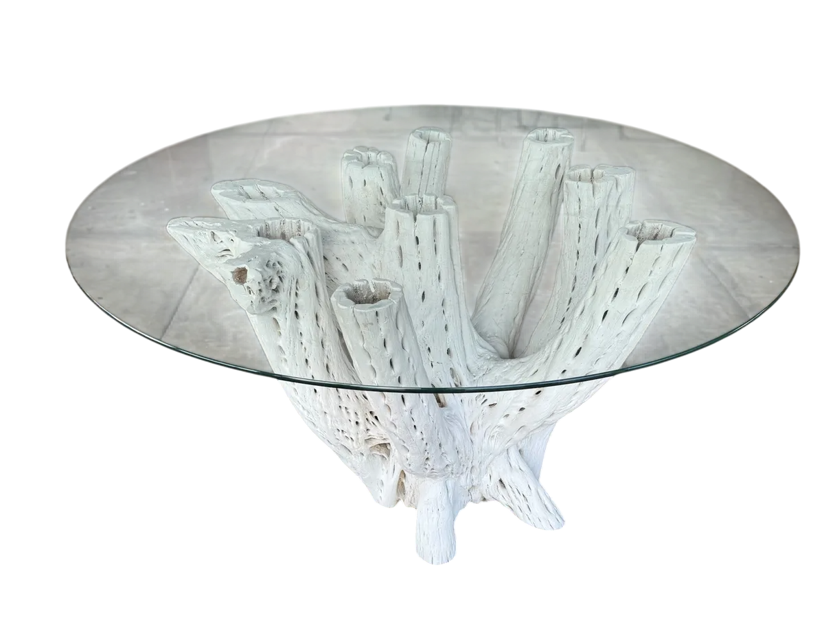 White Dining Table Base 4 to 6 Chairs Antique Cactus Wood