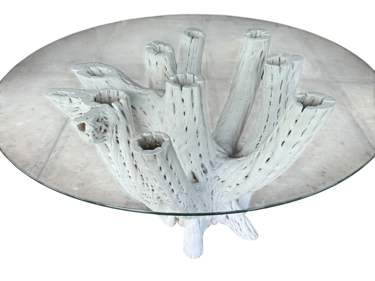 White Dining Table Base 4 to 6 Chairs Antique Cactus Wood
