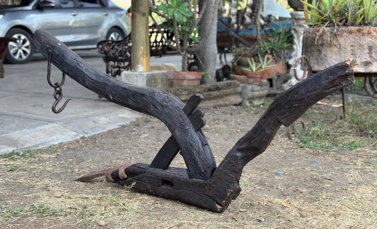 Old and original wooden plow with a share