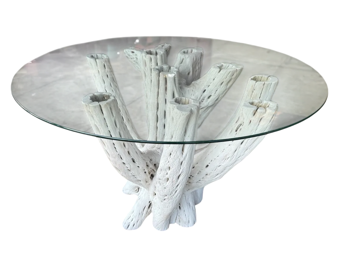 White Dining Table Base 4 to 6 Chairs Antique Cactus Wood