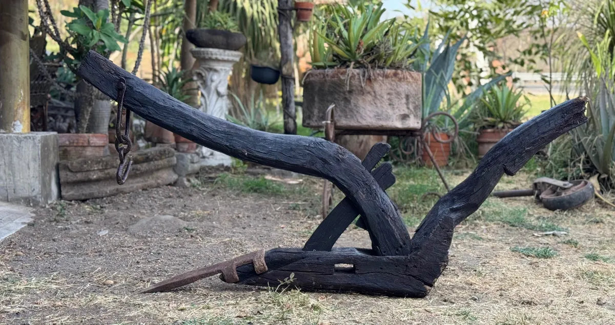 Old and original wooden plow with a share