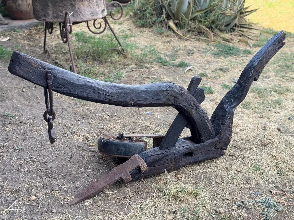 Old and original wooden plow with a share