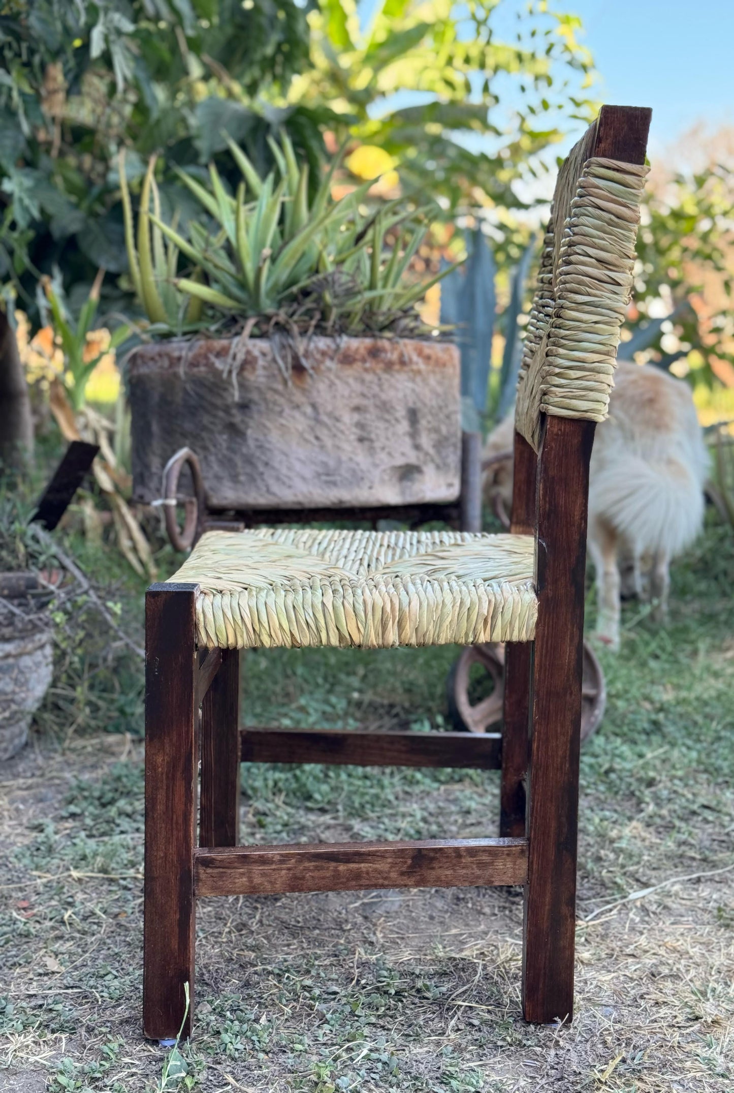 Elegant Style Sustainable Wood Handcrafted Chair in Walnut Tone