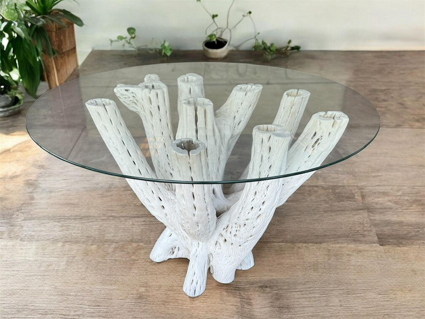 Base Mesa Blanca Comedor 4 A 6 Sillas Madera Cactus Antiguo