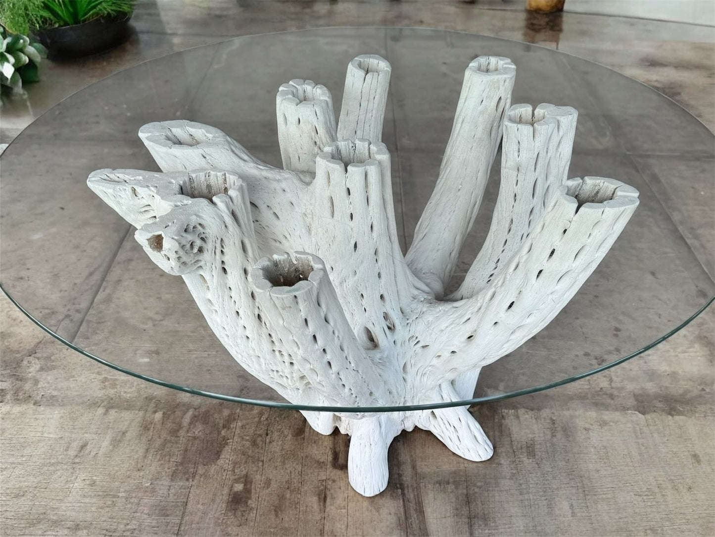 Base Mesa Blanca Comedor 4 A 6 Sillas Madera Cactus Antiguo