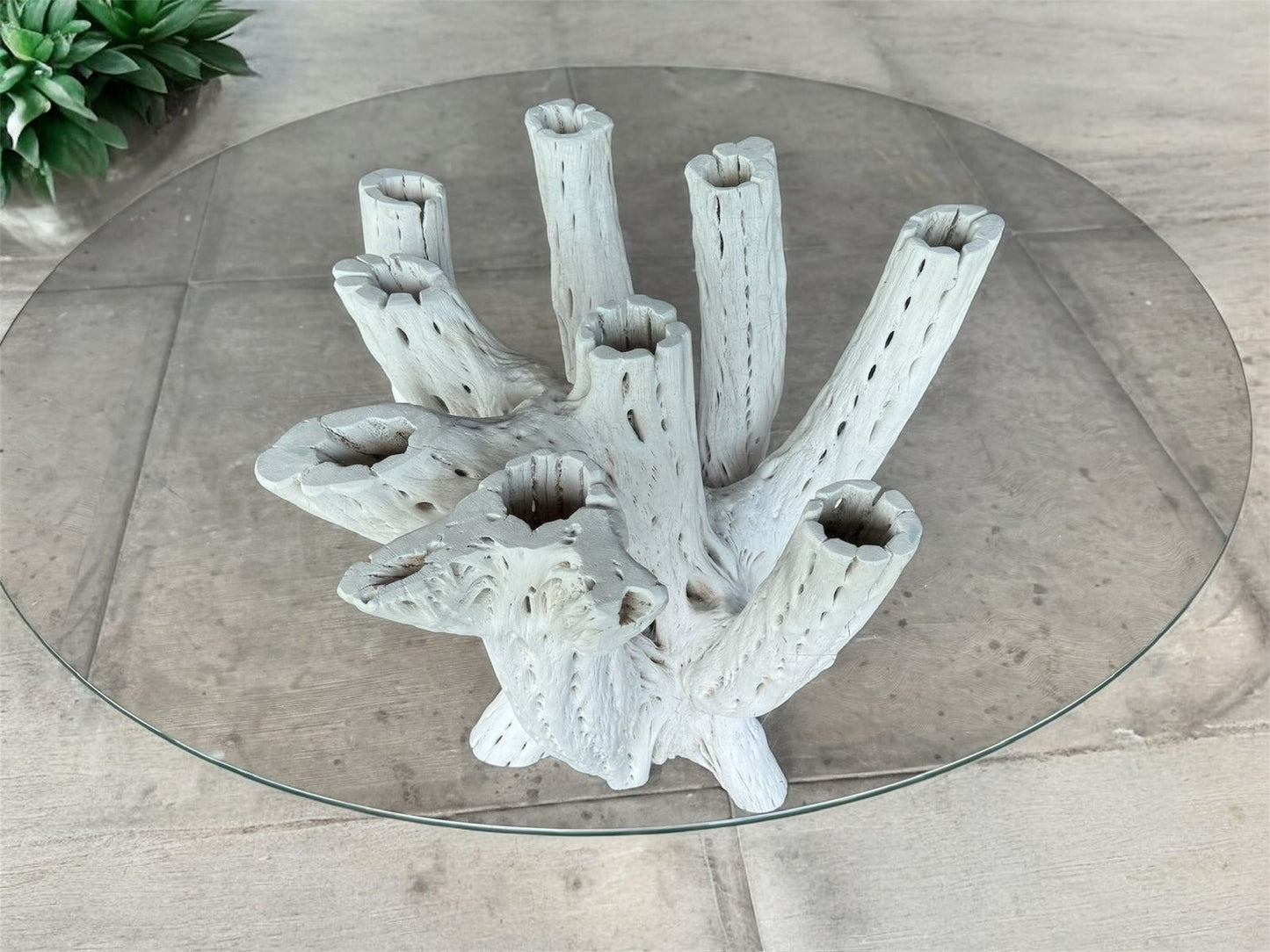 Base Mesa Blanca Comedor 4 A 6 Sillas Madera Cactus Antiguo
