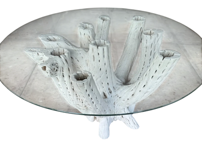White Dining Table Base 4 to 6 Chairs Antique Cactus Wood 