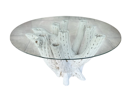 White Dining Table Base 4 to 6 Chairs Antique Cactus Wood 