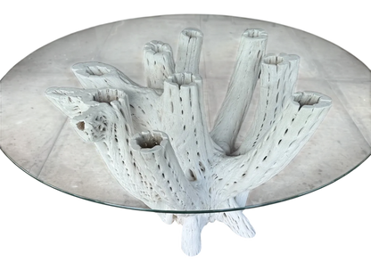 White Dining Table Base 4 to 6 Chairs Antique Cactus Wood 