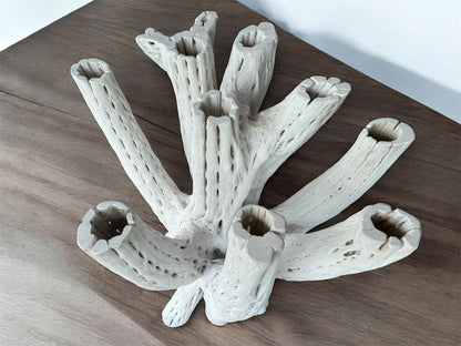 Base Mesa Blanca Comedor 4 A 6 Sillas Madera Cactus Antiguo